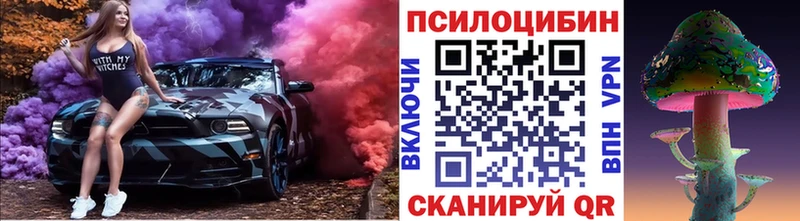 Галлюциногенные грибы Psilocybe  Купить где  Звенигород 