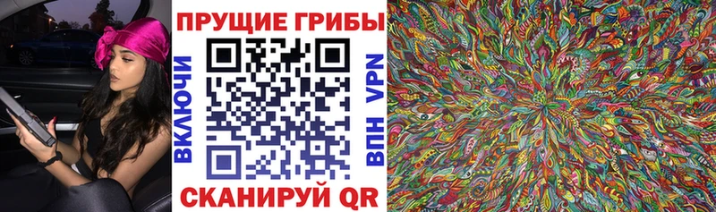 Псилоцибиновые грибы Magic Shrooms Звенигород